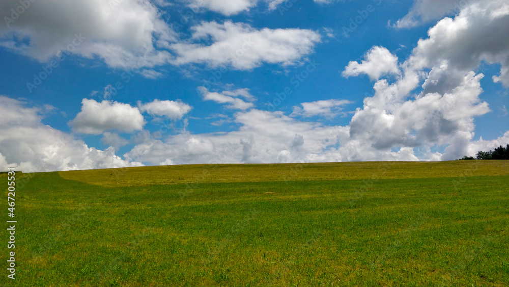 A large green pasture with a yellow part in the background. Beautiful white clouds passing in the sky creates amazing relaxing feeling.