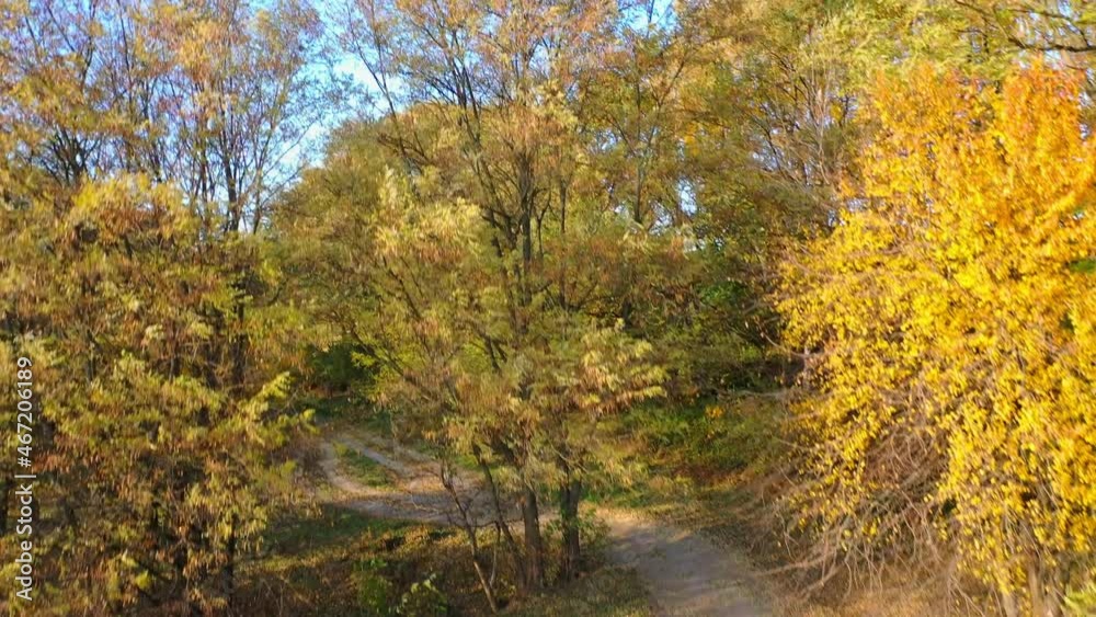 Aerial view over forest in autumn. Aerial drone view of colorful forest during autumn Aerial view over forest in autumn. Aerial drone view of colorful forest during autumn