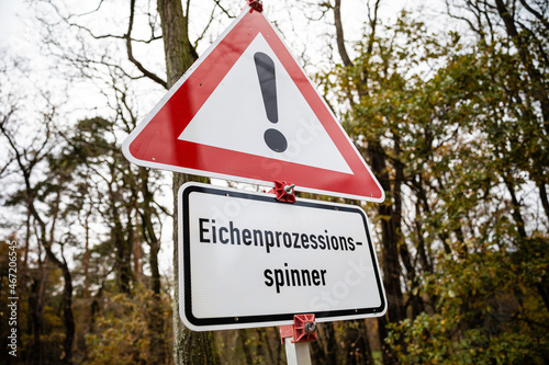 Achtung Eichenprozessionsspinner