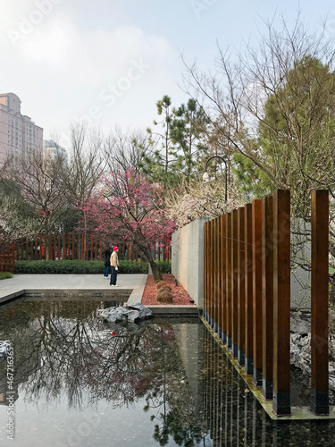 Person standing beside pool and trees in city photo