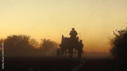 Silhouette of man riding horse during sunset photo