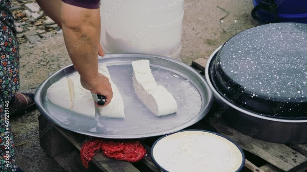 The old woman is making homemade cheese using traditional methods. The old woman is making homemade cheese using traditional methods.