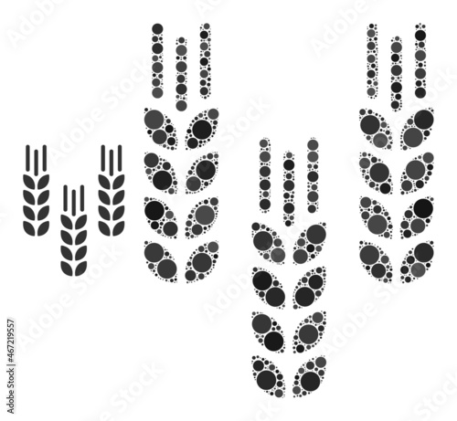 Barley crop vector mosaic of round dots in various sizes and color tinges. Round dots are grouped into barley crop vector mosaic. Abstract vector design concept.