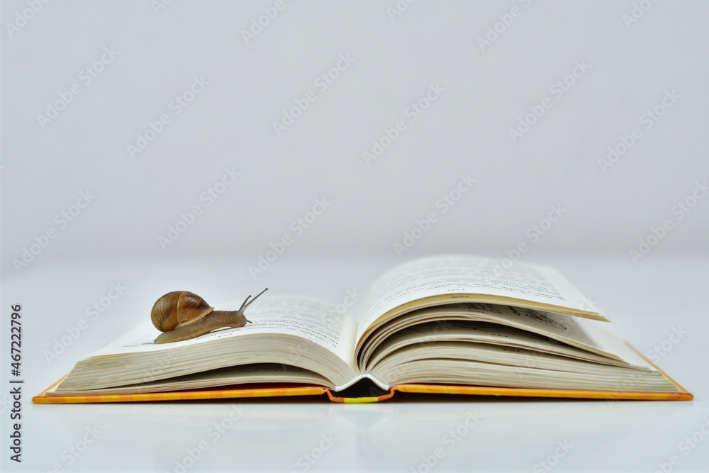 Naklejka premium small snail slowly crawling on the open page of the book.Snail reads a book. Helix pomatia, reading crisis concept.