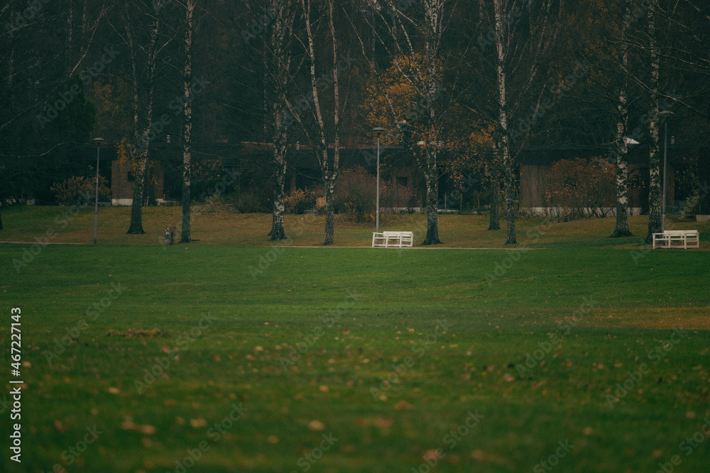 Obraz premium Nature, people and autumn. Finland, Scandinavia.