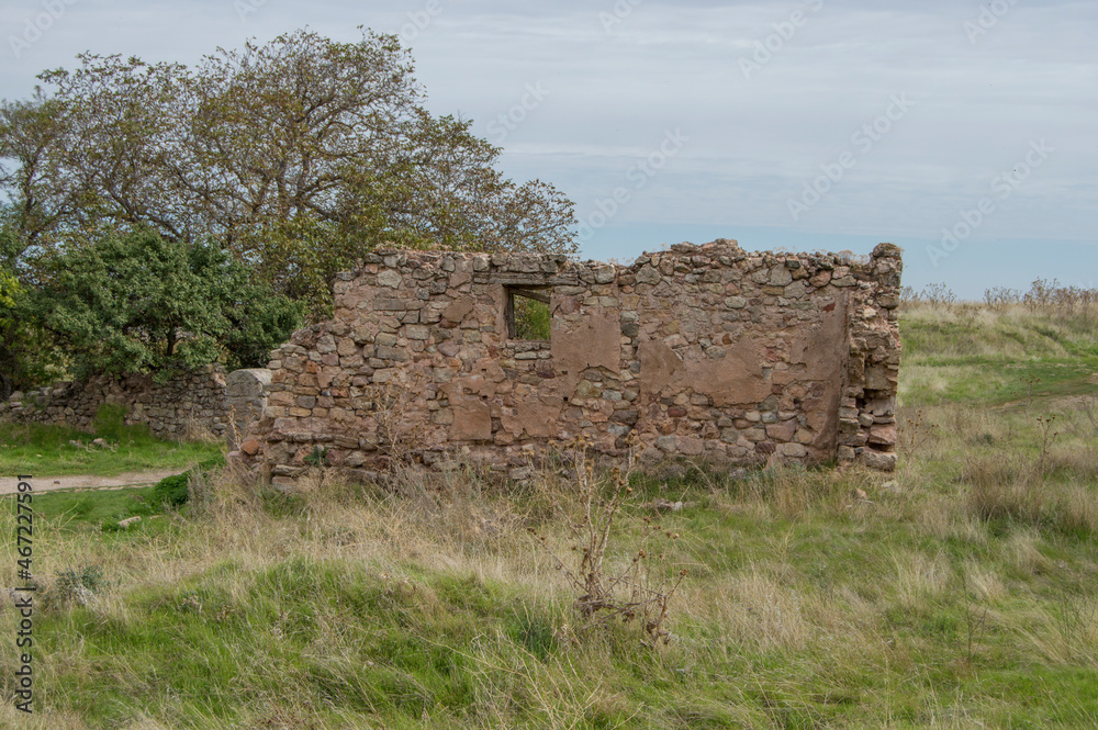 fragment of a house wall with a window hole in a meadow with a tree