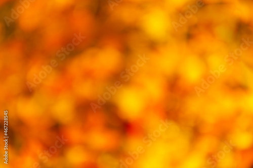 unfocus bright season. nebulous autumn leaves. blurred bokeh background.
