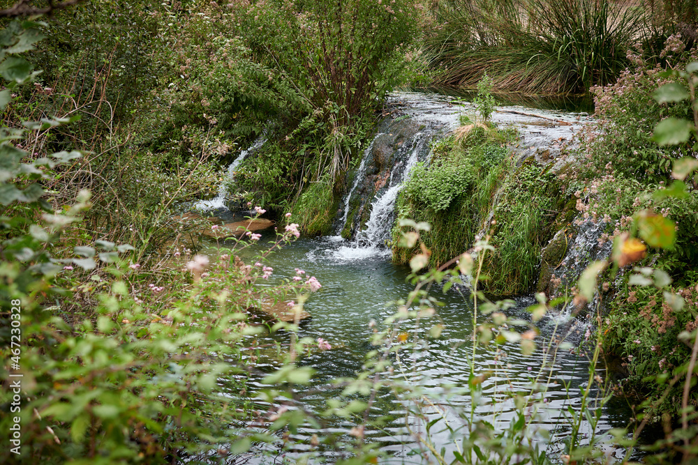Vinalopo river in the vicinity of Banyeres de Mariola, Spain. Vinalopo river in the vicinity of Banyeres de Mariola, Spain.