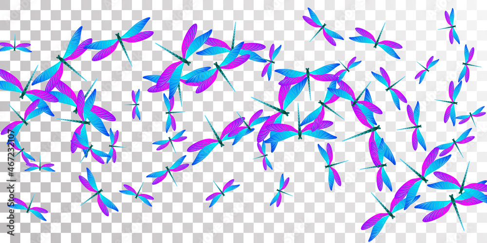 Obraz premium Fairy blue purple dragonfly isolated vector background. Spring pretty damselflies. Fancy dragonfly isolated baby wallpaper. Tender wings insects graphic design. Tropical creatures