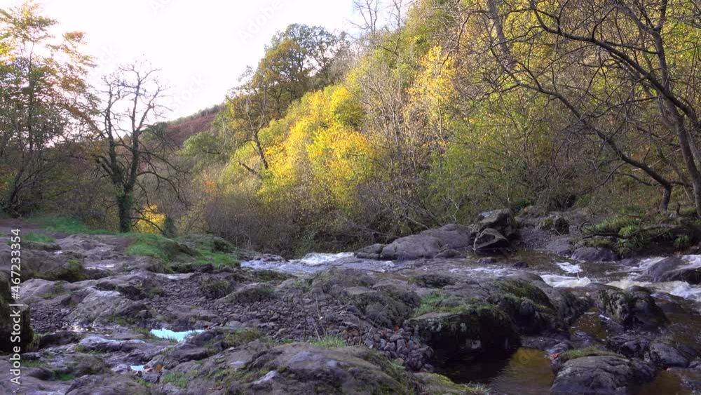 A gentle stream running over rocks in a little Scottish glen. Overhanging trees displaying beautiful autumnal foliage. Tranquil and relaxing scene. A gentle stream running over rocks in a little Scottish glen. Overhanging trees displaying beautiful autumnal foliage. Tranquil and relaxing scene.