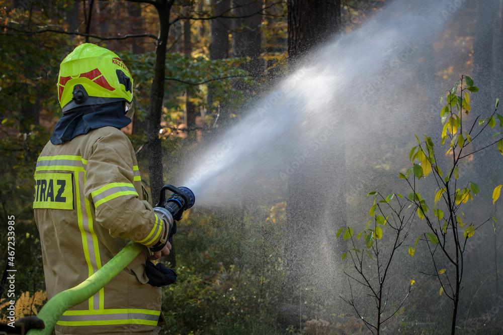Strażacy podczas akcji gaśniczej w lesie - obrazy, fototapety, plakaty 