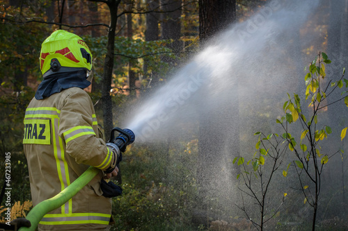 Strażacy podczas akcji gaśniczej w lesie photo