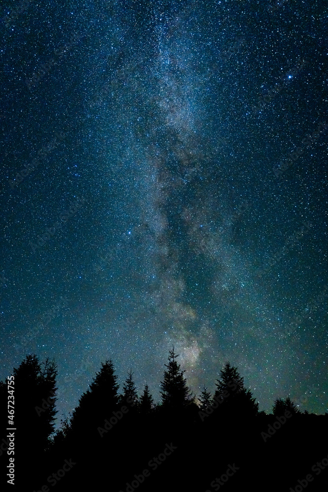 Starry night sky in the forest