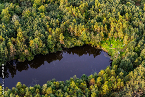 Aerial view on blue lake with cozy beach hidden in Lithuanian forest