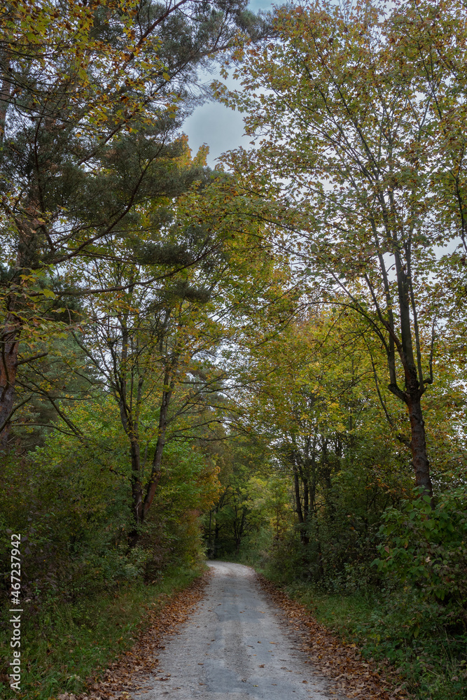 Fototapeta premium Landschaft im Herbst