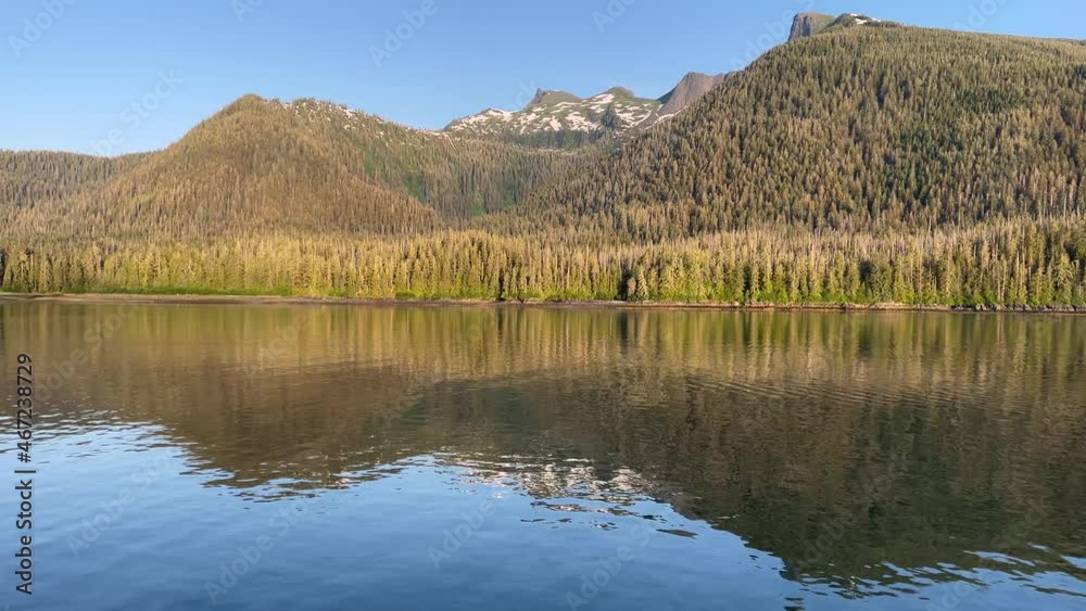 2021 - A forest on Alaska's Kuprenof Island is reflected in the water. 2021 - A forest on Alaska's Kuprenof Island is reflected in the water.