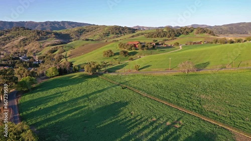 2021 - Excellent aerial shot of a vineyard outside Lake Casitas in California. photo