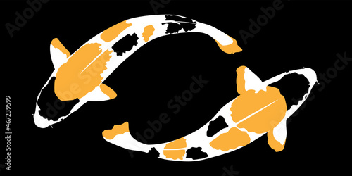 Two Japanese carp. Vector image.