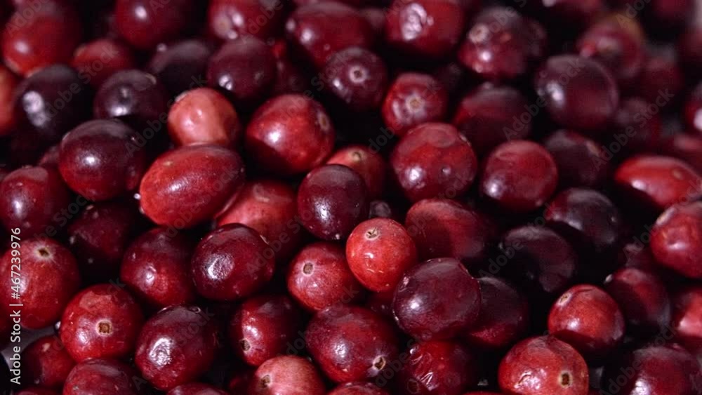 Close up table top from rotating red cranberries Close up table top from rotating red cranberries