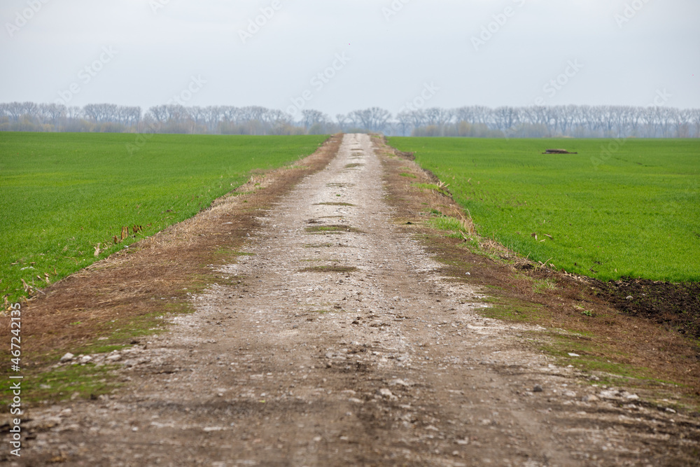 road field and green grass background