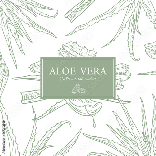 Hand Drawn Aloe Vera Card. Abstract Vector Aloe Sketch Background with Classy Retro Typography. Isolated.