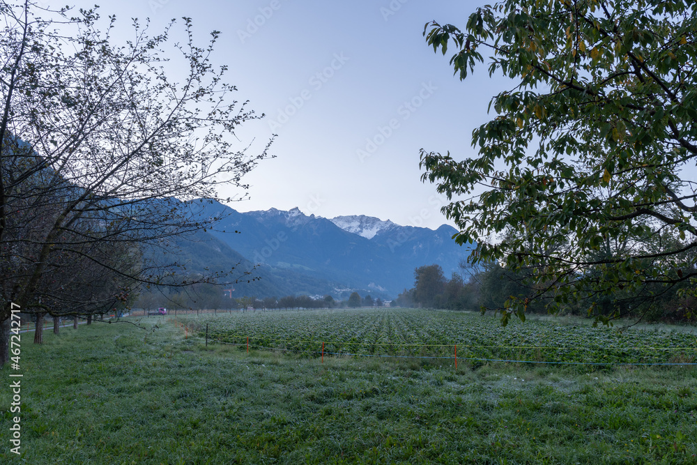 Vaduz, Liechtenstein, October 11, 2021 Green meadow early in the morning