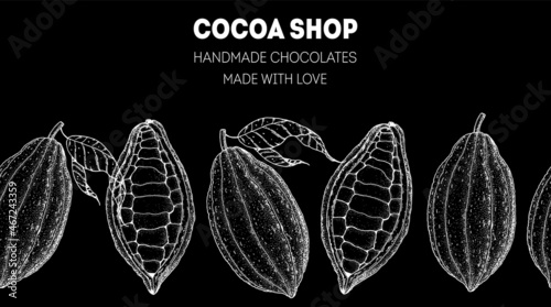 Cocoa pod. Vector illustration. Super food frame. Chocolate cooking and ingredients for chocolate, sketch illustration. Healthy food, design elements. Hand drawn, package design.