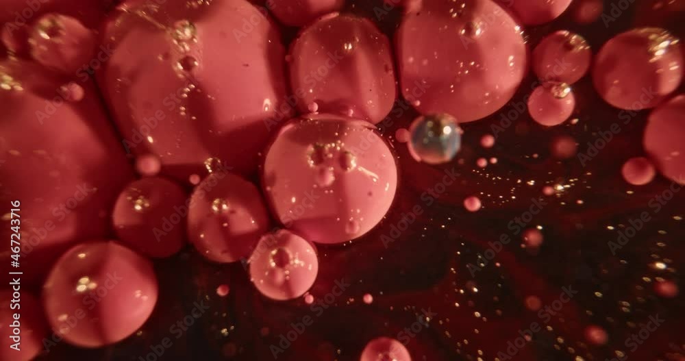 Red oil bobbles bouncing around Red oil bobbles bouncing around