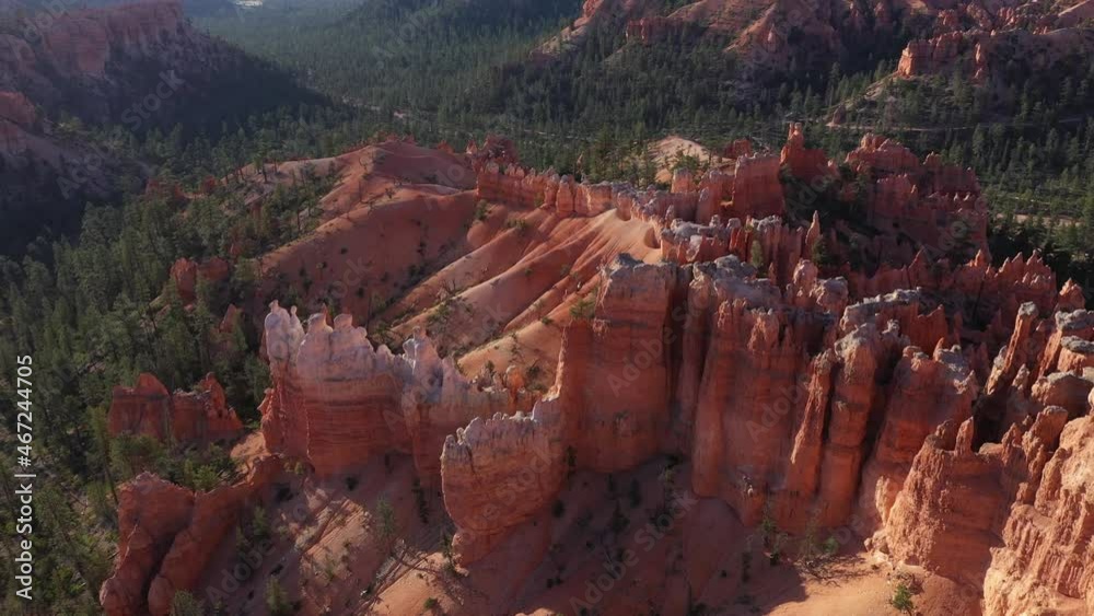 2021 - Excellent aerial shot of pine trees dotting Bryce Canyon, Utah.