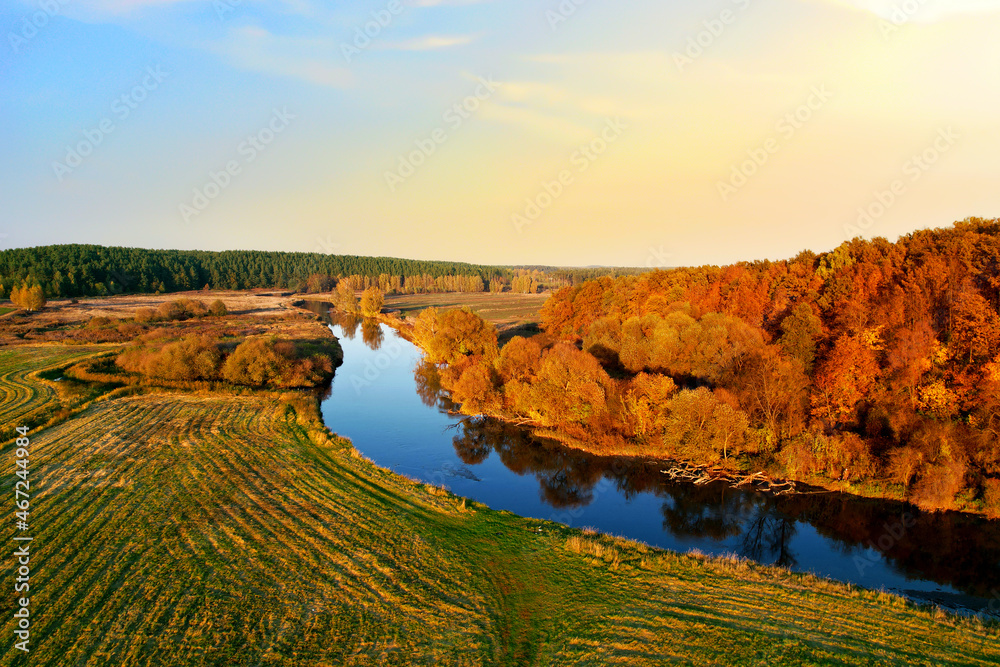 Aerial view of the river in the wild during the fall season. Trees with yellow leaves at sunset on a small winding river. Autumn landscape
