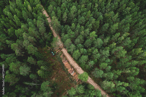 Obraz na płótnie Destruction of forests and felling of trees