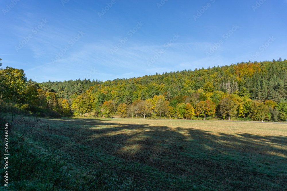 Fototapeta premium Landschaft im Herbst