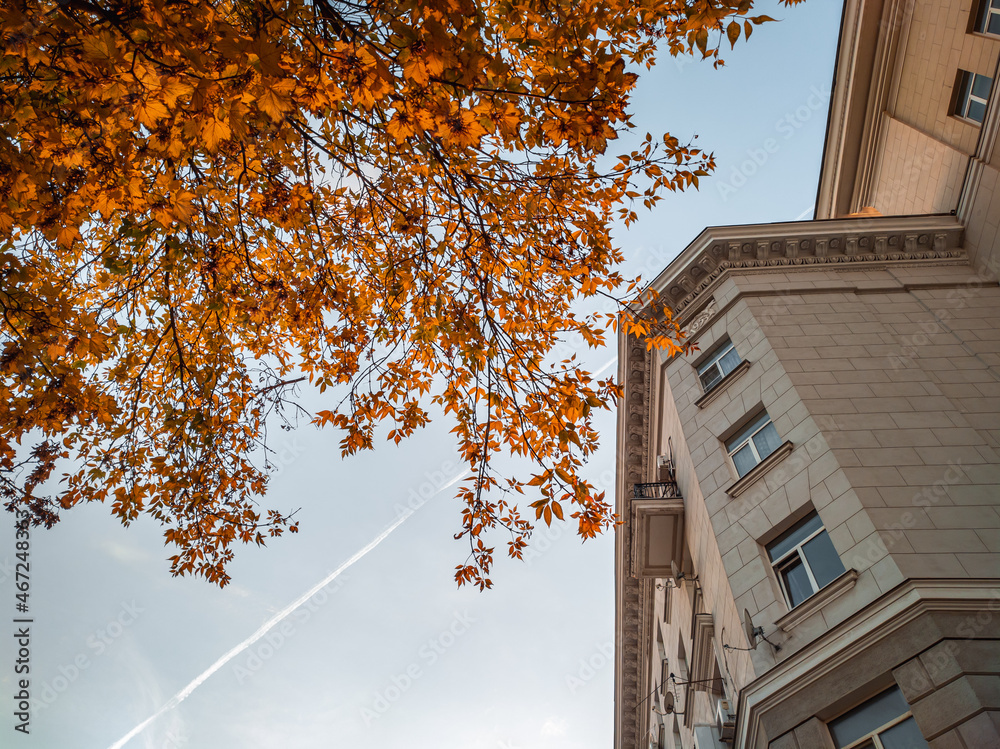 Beautiful city landscape. View of a 1953 building with beautiful neoclassical architecture and orange autumn leaves.
