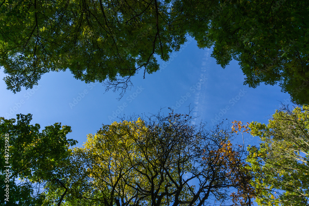 Obraz premium Landschaft im Herbst