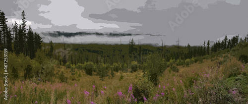 forest fires in the mountains, consequences of forest fires