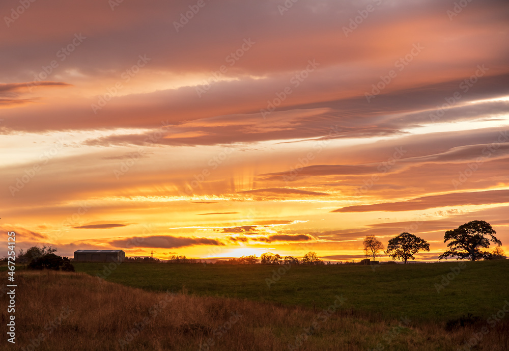 Landscape photography of stunning sunset, field, trees, sky, clouds, Scotland