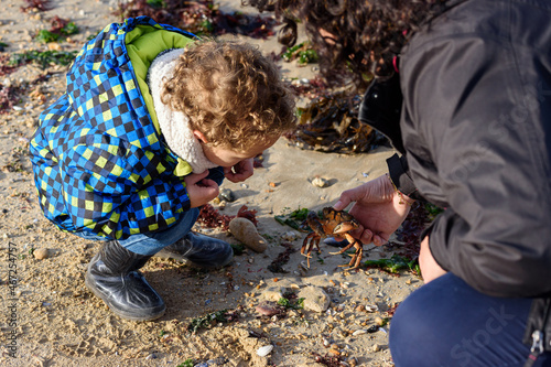 Принти на полотні A mother showing a crab to her child, holding it in her hand