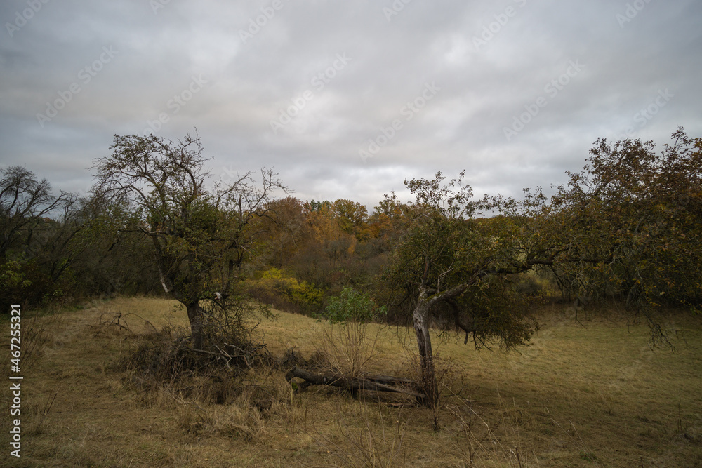 Landschaft im Herbst