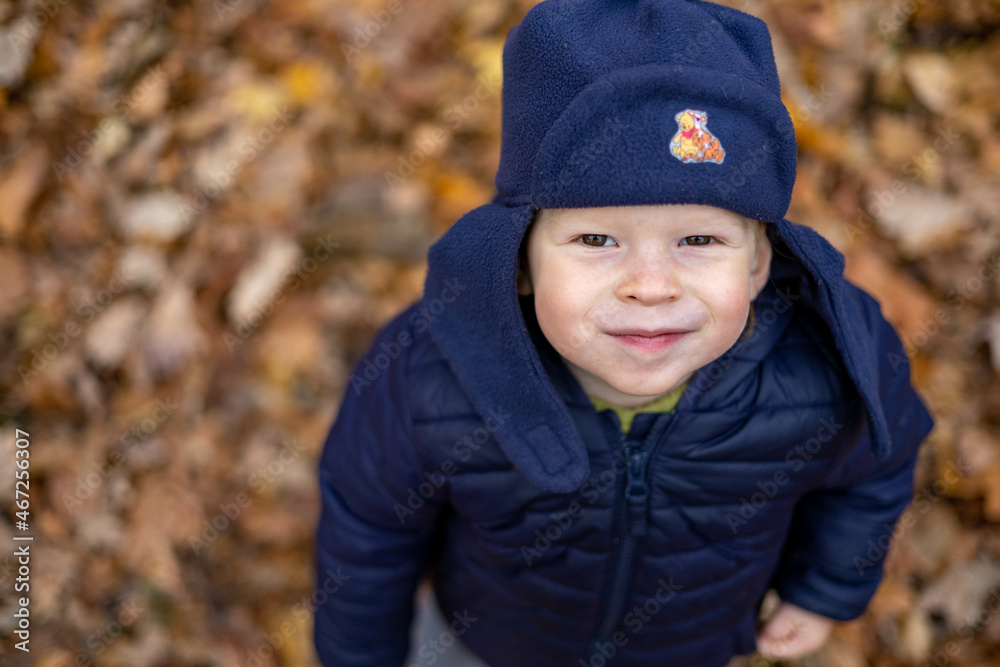 A small, smiling boy stands in the autumn forest on yellow leaves. A small, smiling boy stands in the autumn forest on yellow leaves.