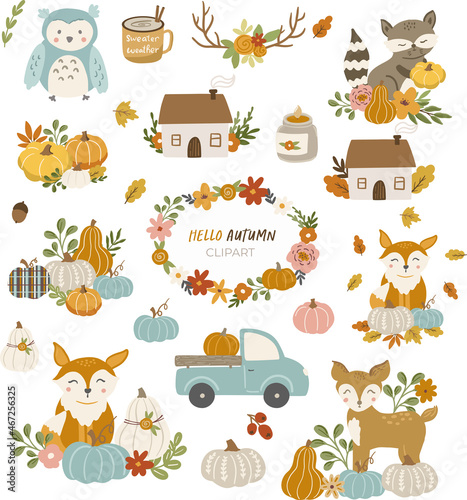 Set of autumn fall clipart isolated objects, animals, pumpkis, car truck, house. Autumn set vector cute illustration on white background.