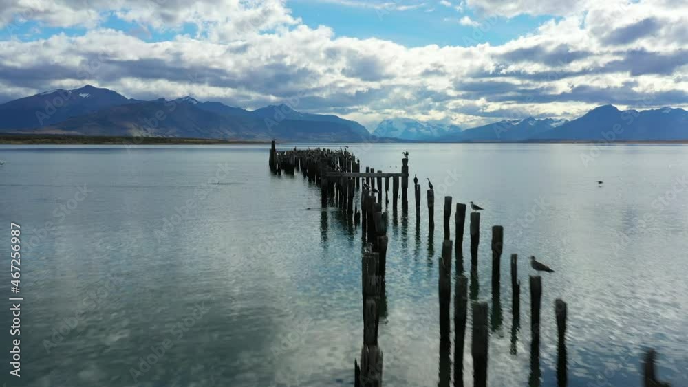 Aerial: Beautiful Shot Of Birds On Wooden, Drone Flying Forward Over Sea - Puerto Natales, Chile Aerial: Beautiful Shot Of Birds On Wooden, Drone Flying Forward Over Sea - Puerto Natales, Chile