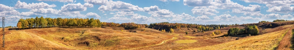 Fototapeta premium Autumn landscape, panorama, background - view of the valley with grazing bulls and cows surrounded by wooded hills, horizontal banner