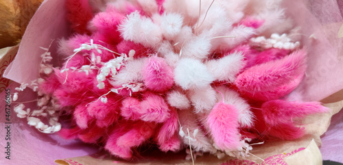 Dry, light, fabulous, fluffy, pink and white bouquet of lagurus ovatus. As a gift to a loved one and a loved one for a holiday of love. Eternal, dried, herbarium, unfading flower and grass. Macro.