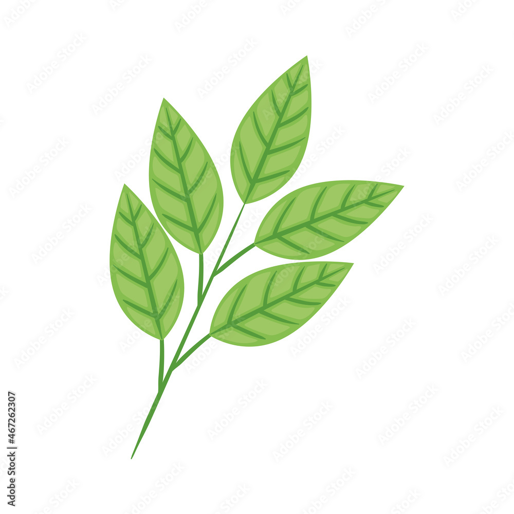 leafs plant icon