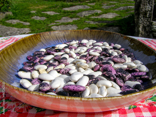 Tableau sur toile group of varied beans