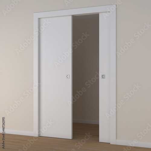 3d rendering of a double sliding door in white lacquered wood photo