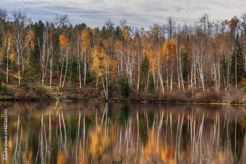 reflection of autumn colored trees in the water