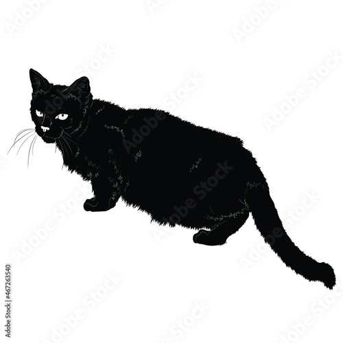 Vector illustration. Black silhouette of a domestic cat isolated on white background. EPS 8 © Юяшка
