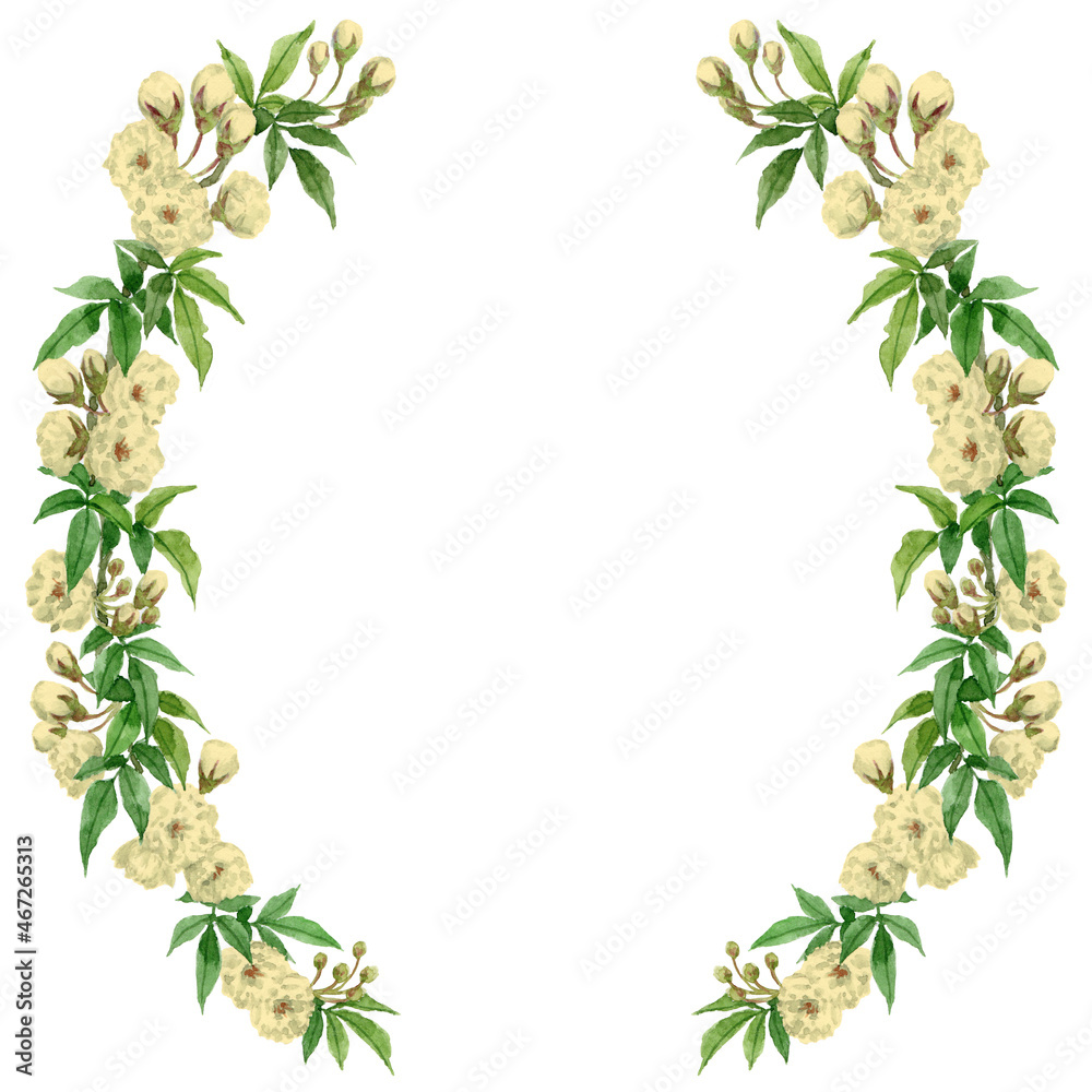 Naklejka premium アナログ水彩モッコウバラの半円形装飾フレーム