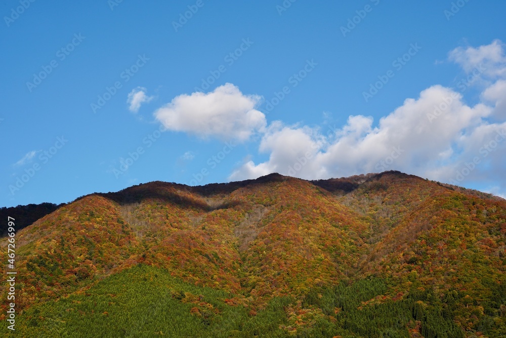 紅葉した山の風景